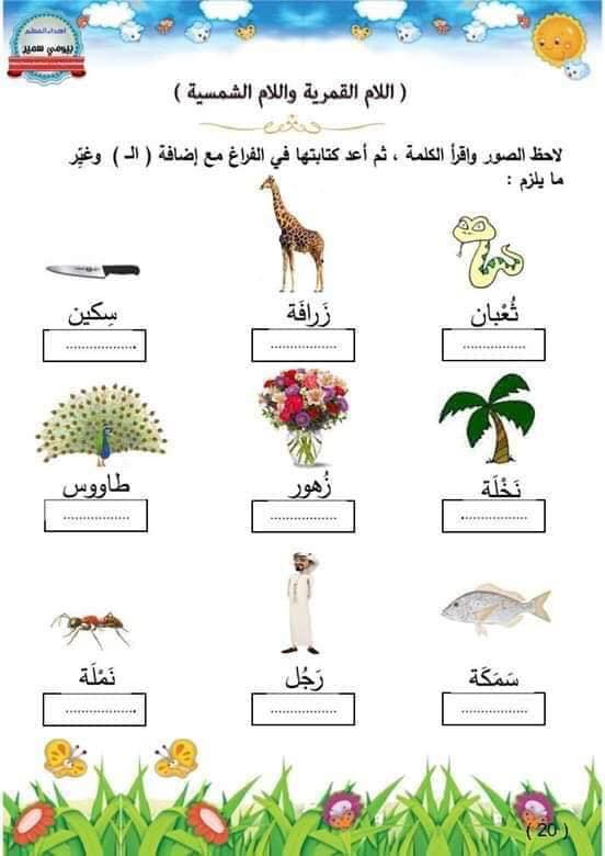 NDE0NjY3MQ4242قصة و اوراق عمل اللام الشمسية و القمرية للصف الثاني الفصل الاول8